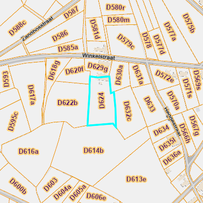 CADGIS
