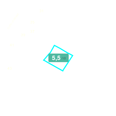 Mobiscore
