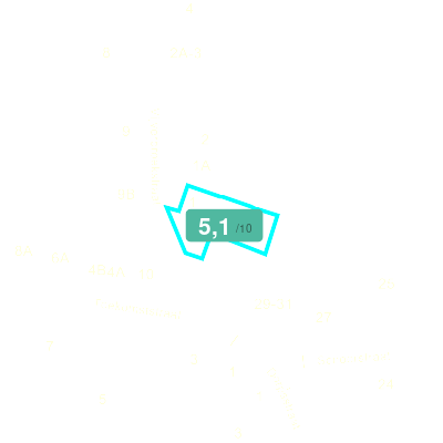 Mobiscore